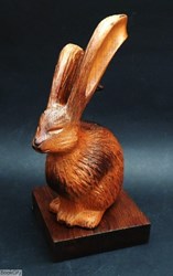 تصویر  مجسمه خرگوش پورشيخ