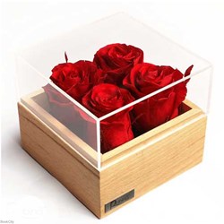 تصویر  روسيج 4 گل قرمز S4R1
