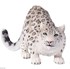 تصویر  Snow Leopard 387243, تصویر 1