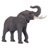 تصویر  African Elephant 381005, تصویر 1