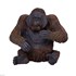 تصویر  Orangutan 381028, تصویر 1